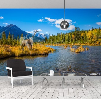 Picture of The red deer on bank of the lake